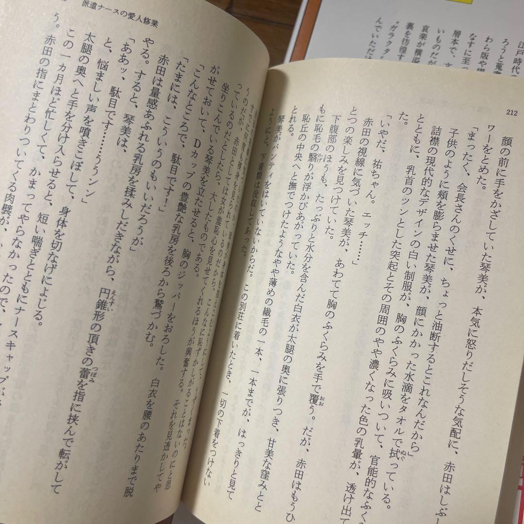 【閉店❗️今なら在庫有り】艶本コレクションたくさんあります