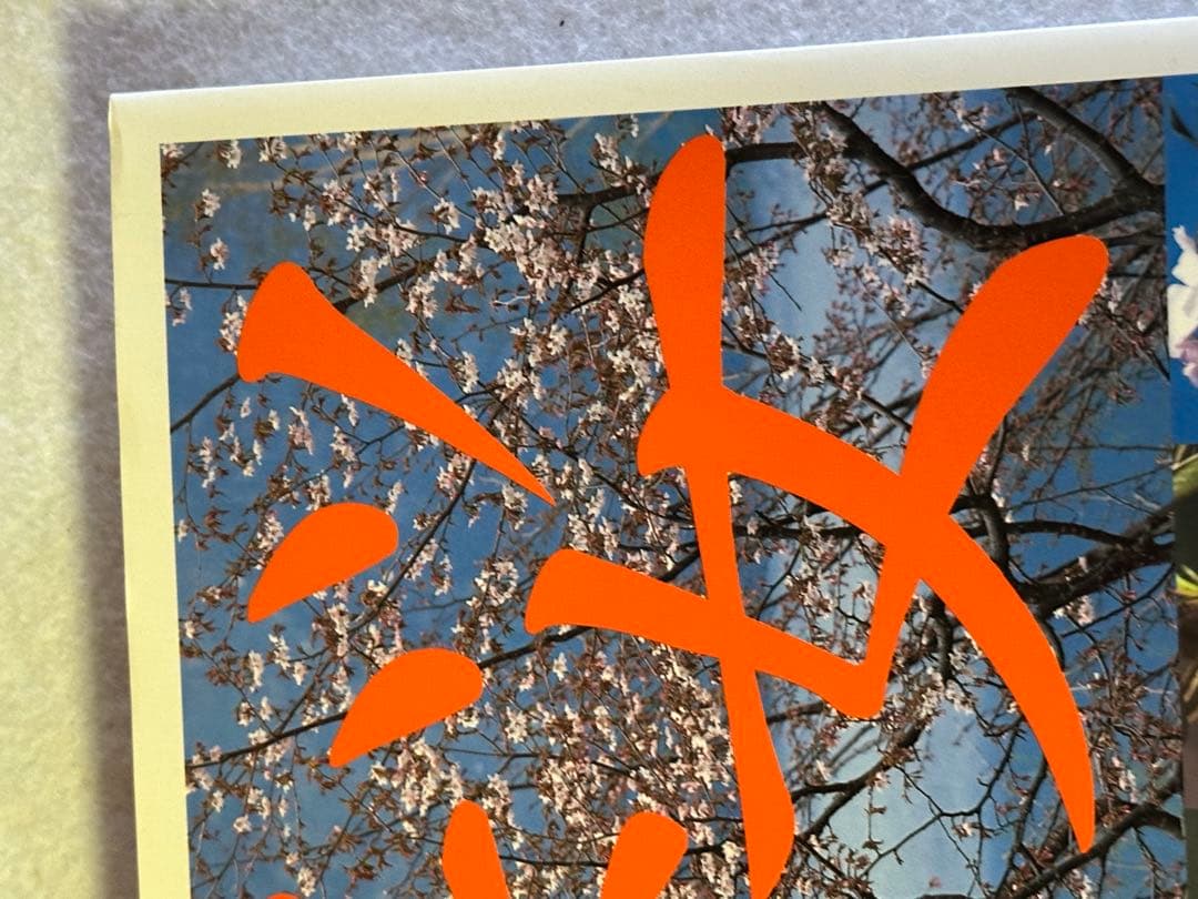 新日本の桜　　山と渓谷社 初版第一版　絶版　図鑑