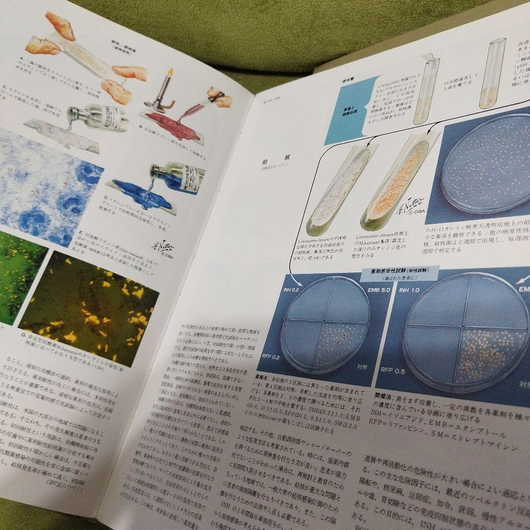 Netter 医学図譜集 全9巻 皮膚病アトラス　セット