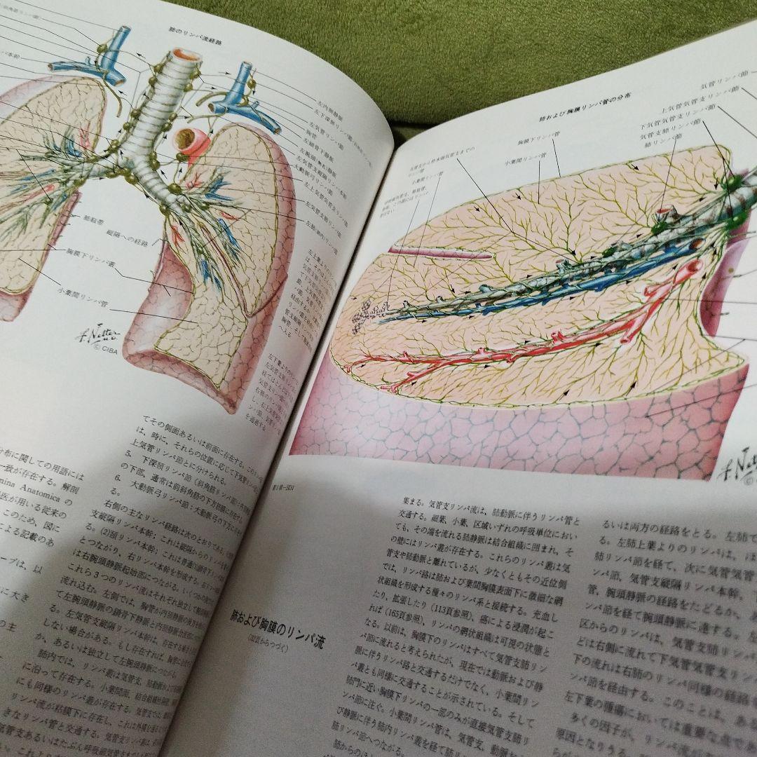 Netter 医学図譜集 全9巻 皮膚病アトラス　セット