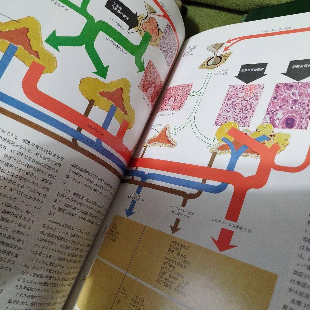 Netter 医学図譜集 全9巻 皮膚病アトラス　セット