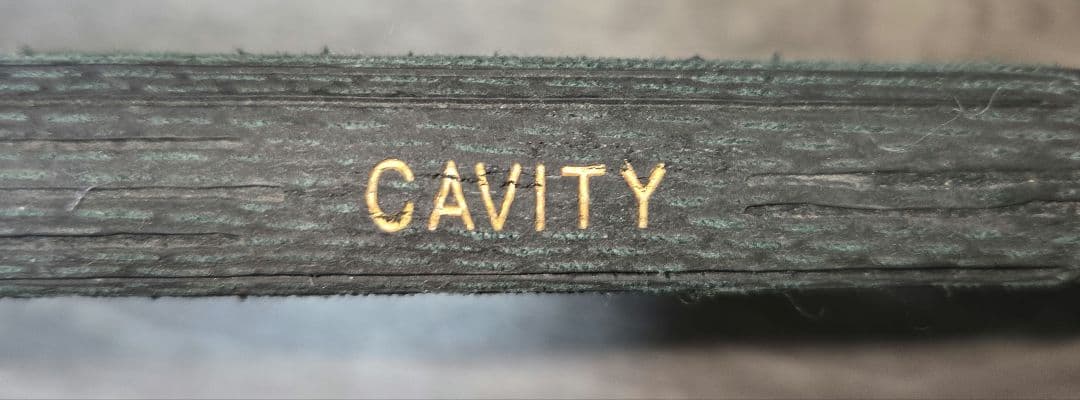 XXIO レディース ゴルフクラブセット