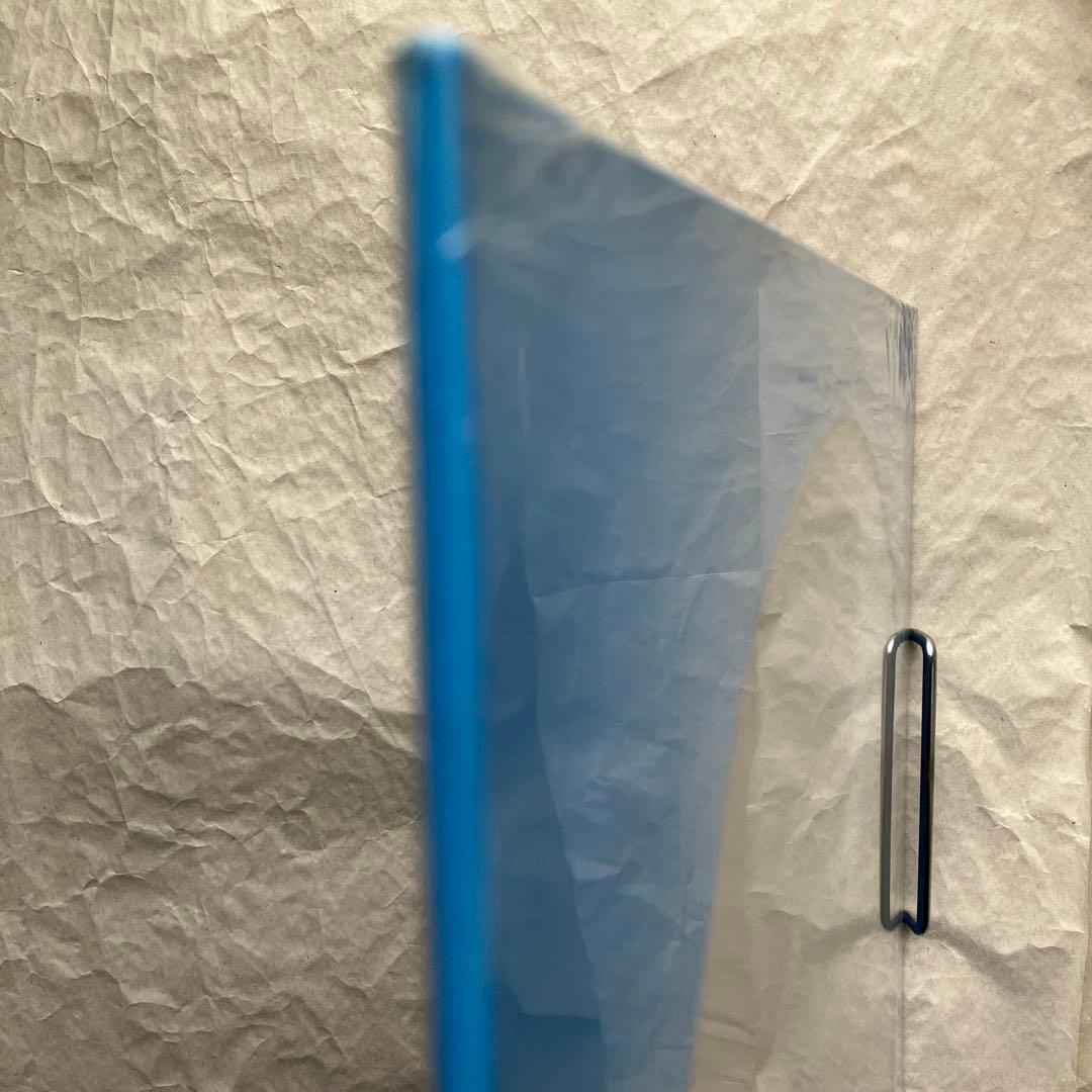 アナログThe Beatles Anniversary Picture Disc