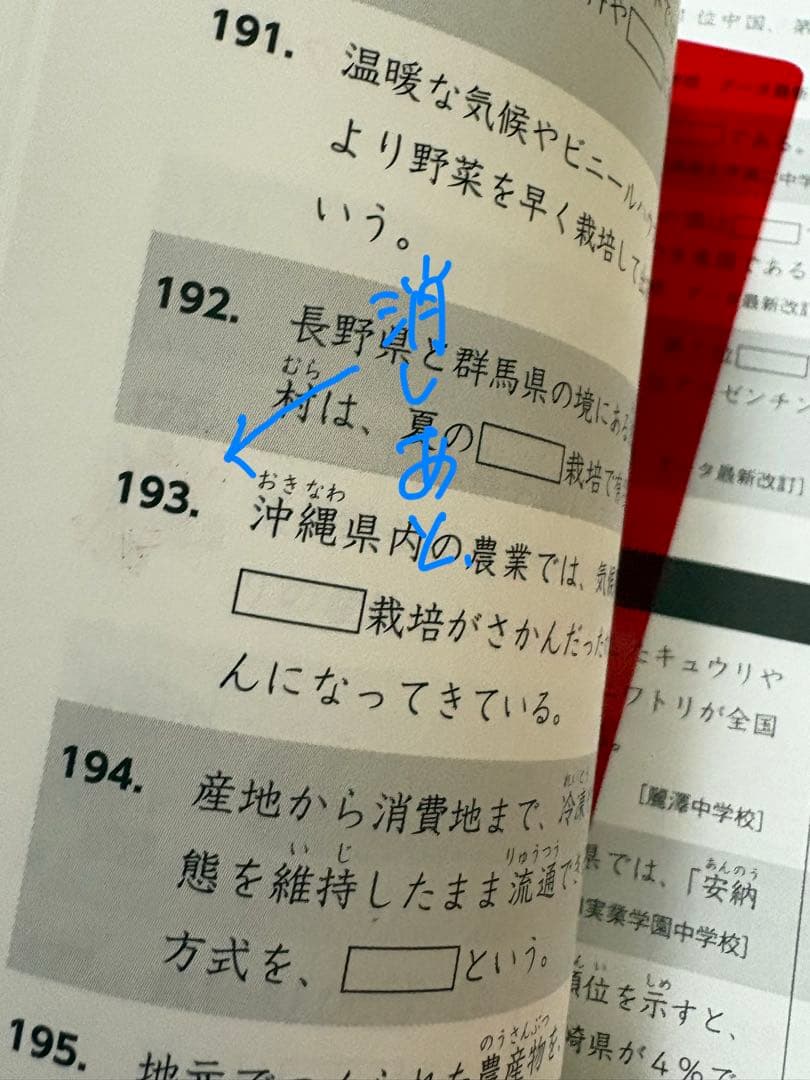 【最新版】2025/2026年 スタディアップ プラチナアウトプット