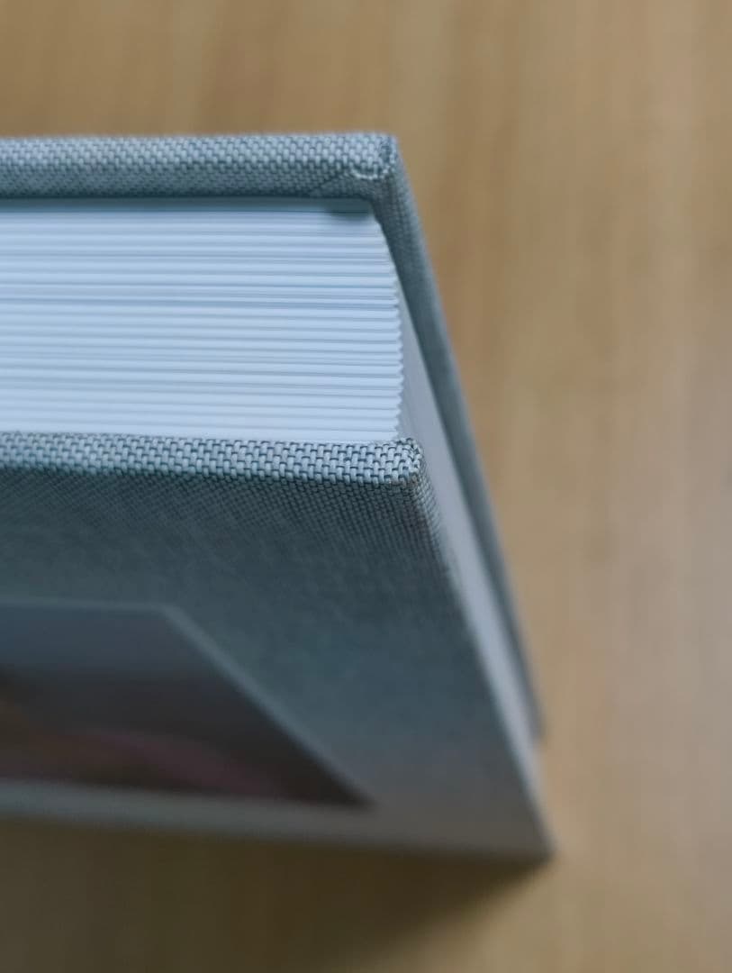 アート・デザイン・音楽 joel meyerowitz taking my time phaidon