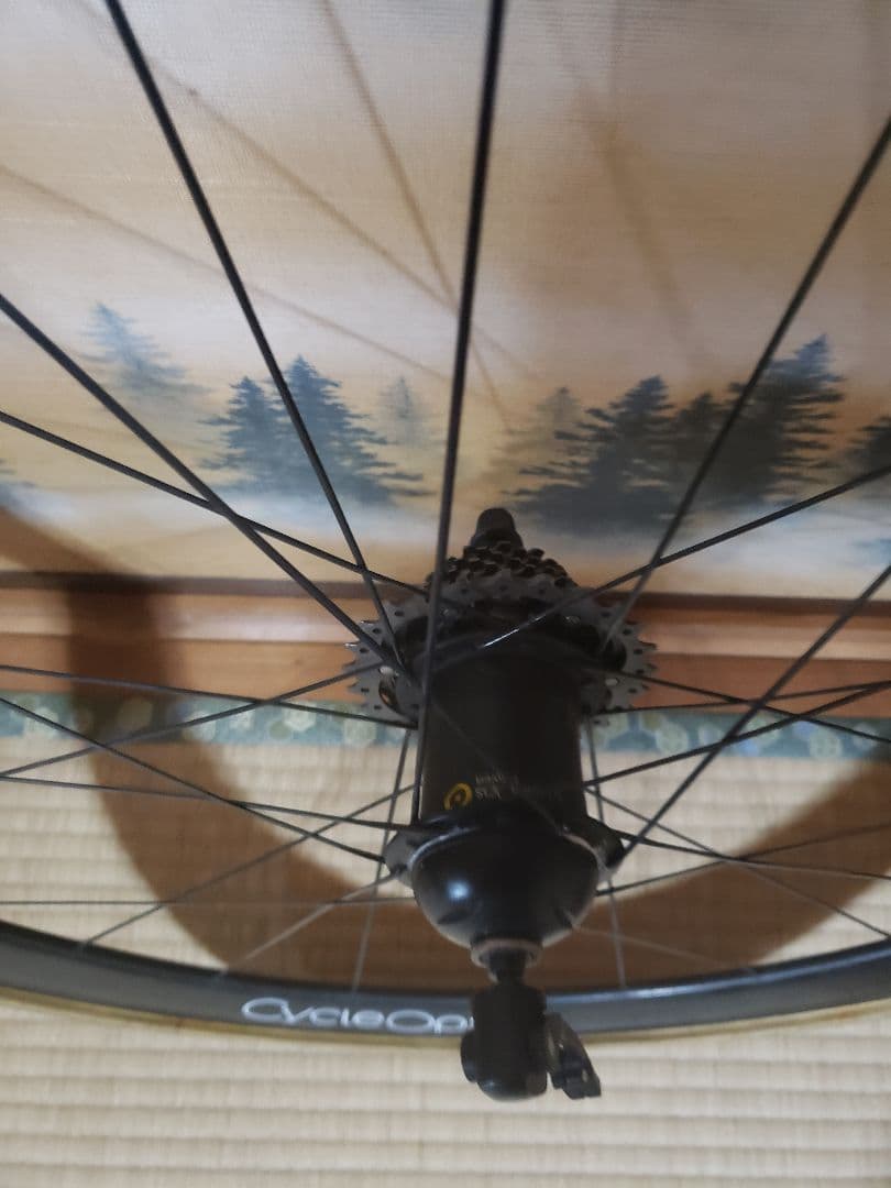 Cycleops Powertap G3 Enve1-45 リアホイール