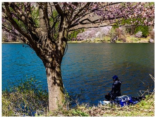 限定1セット42商品】ヘラブナ 道糸 サルカン 錘止め ウキ止め 錘 タナ取 他