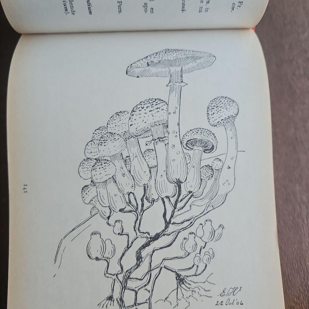 洋書　アンティーク　花図鑑 オランダ植物図鑑