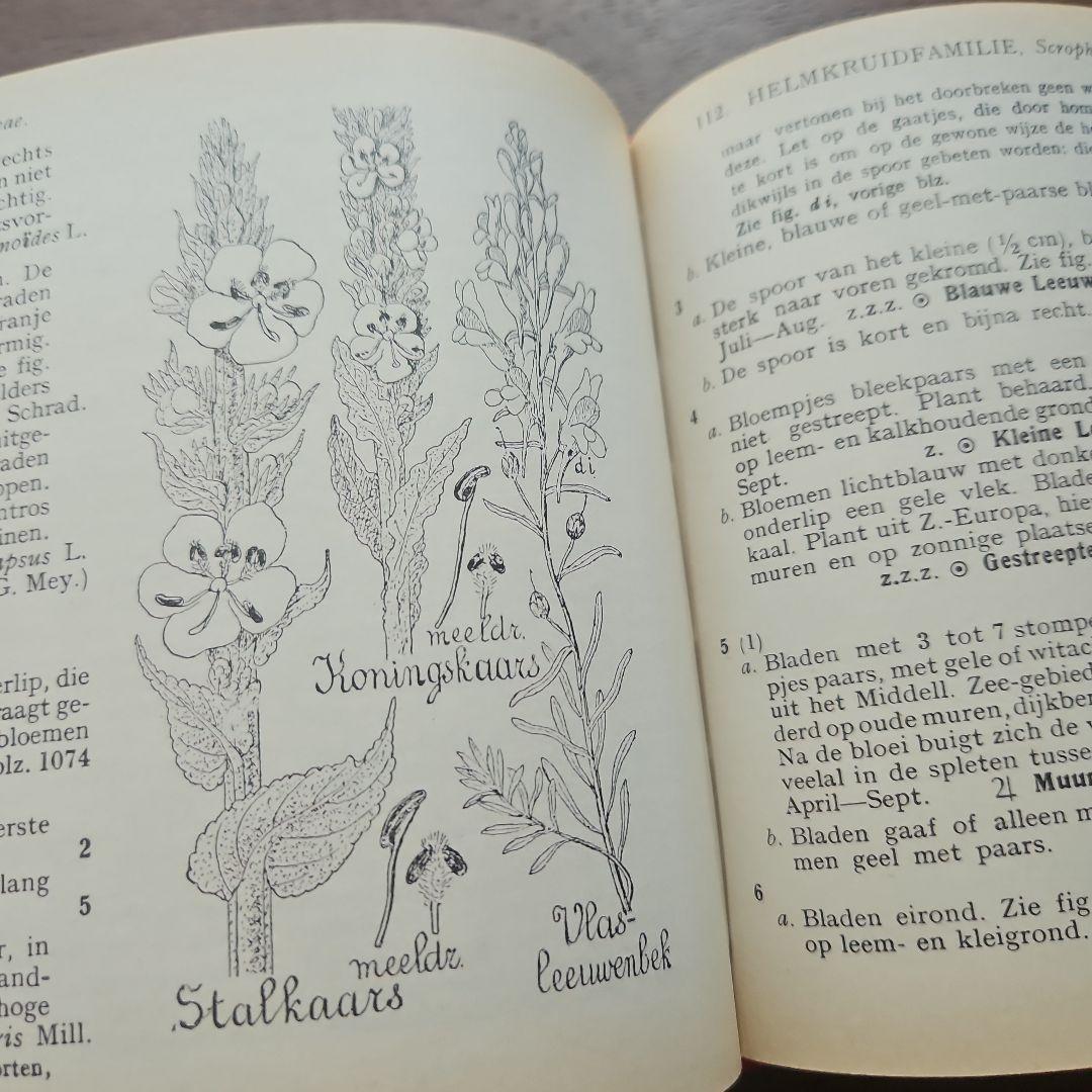 洋書　アンティーク　花図鑑 オランダ植物図鑑