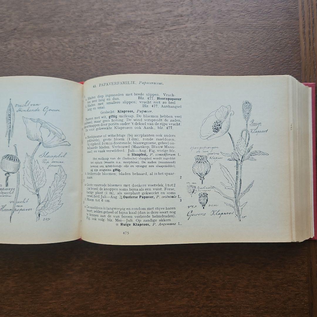 洋書　アンティーク　花図鑑 オランダ植物図鑑