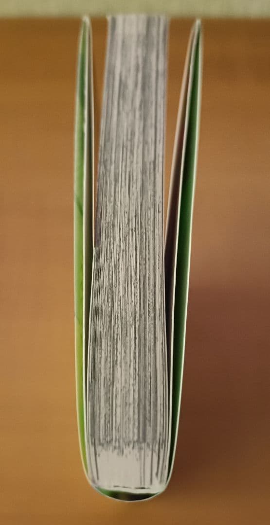 ナ*ナ様 チェンソーマン 1 初版 帯付き 藤本タツキ