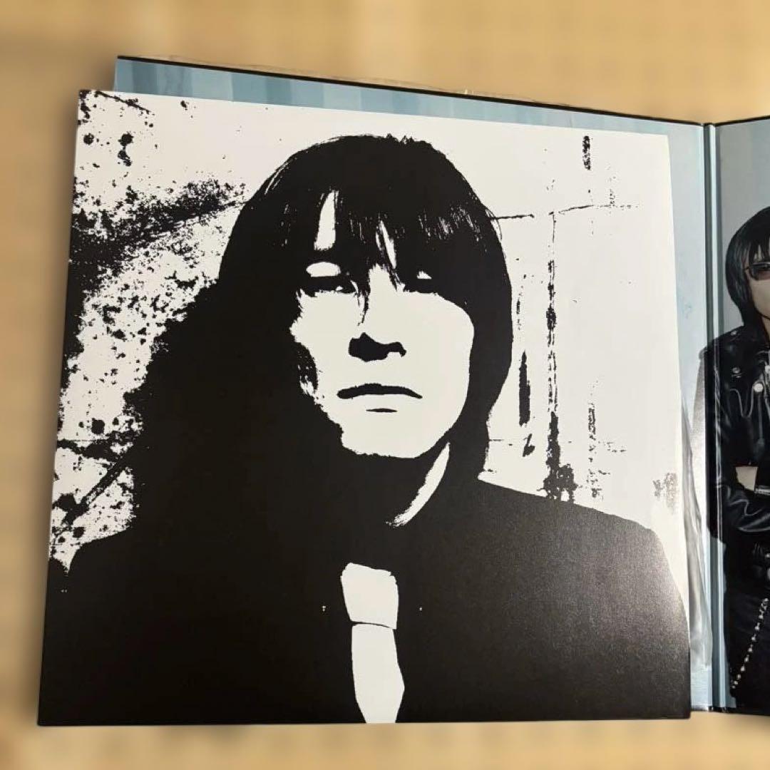 ミッシェルガンエレファント　12inch レコード