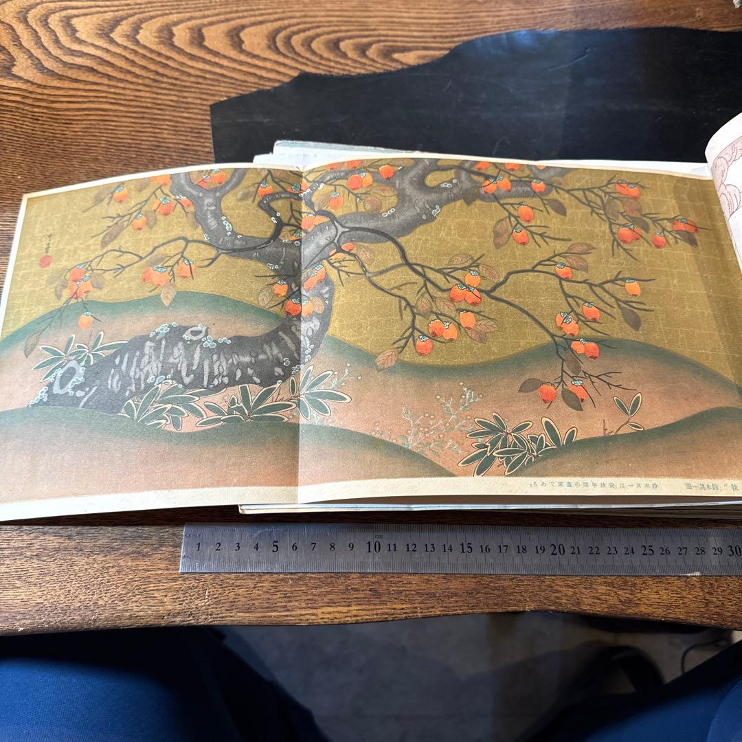 希少大正期『賜天覧 寫眞通信』合本12冊分 教育資料 国歴時報26141