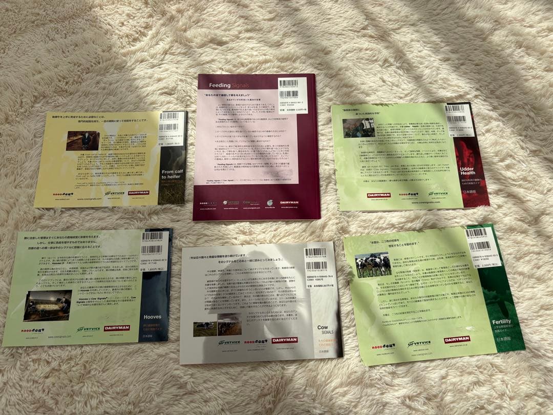 Cow Signals セット