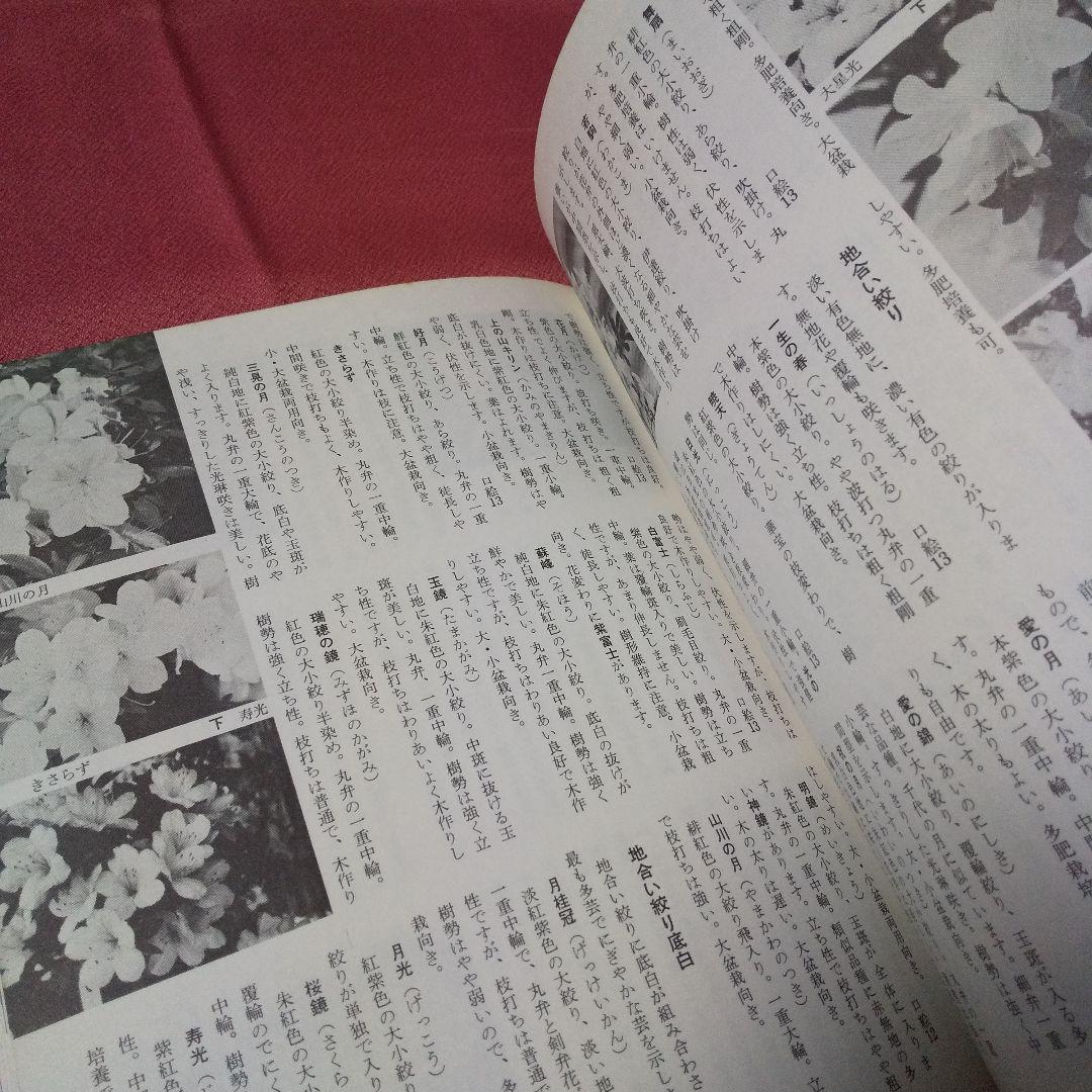 『ガーデンシリーズ ツツジ その種類と栽培』第１版 誠文堂新光社 ガーデンライフ