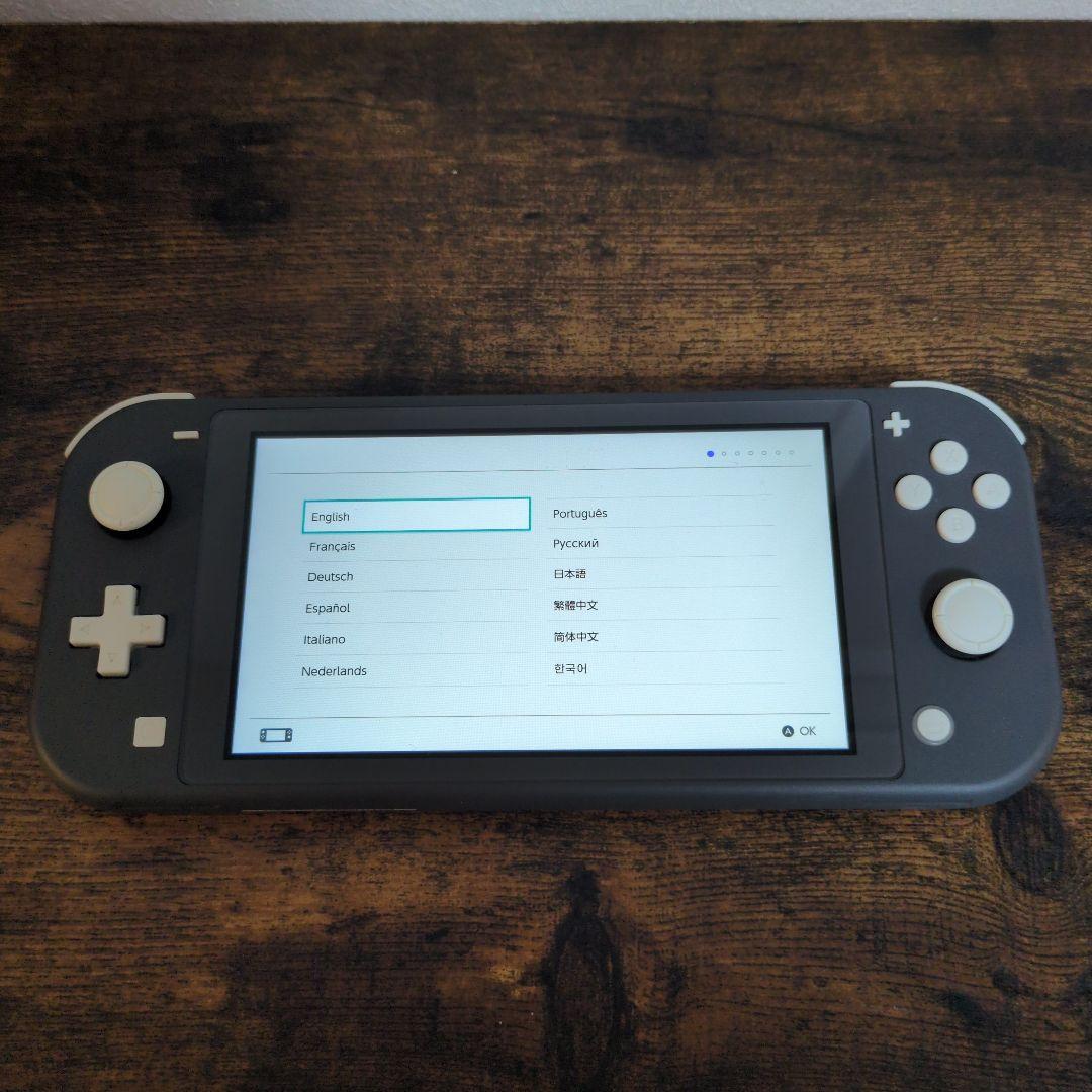 Switch Lite 本体 ケース付き