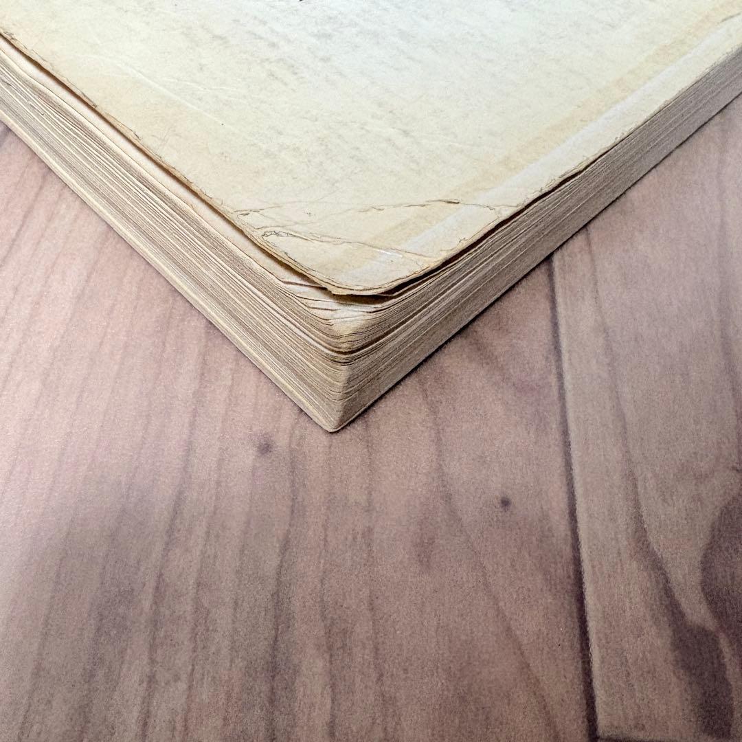 【洋書】VICTORIAN FASHIONS & 1867-1888