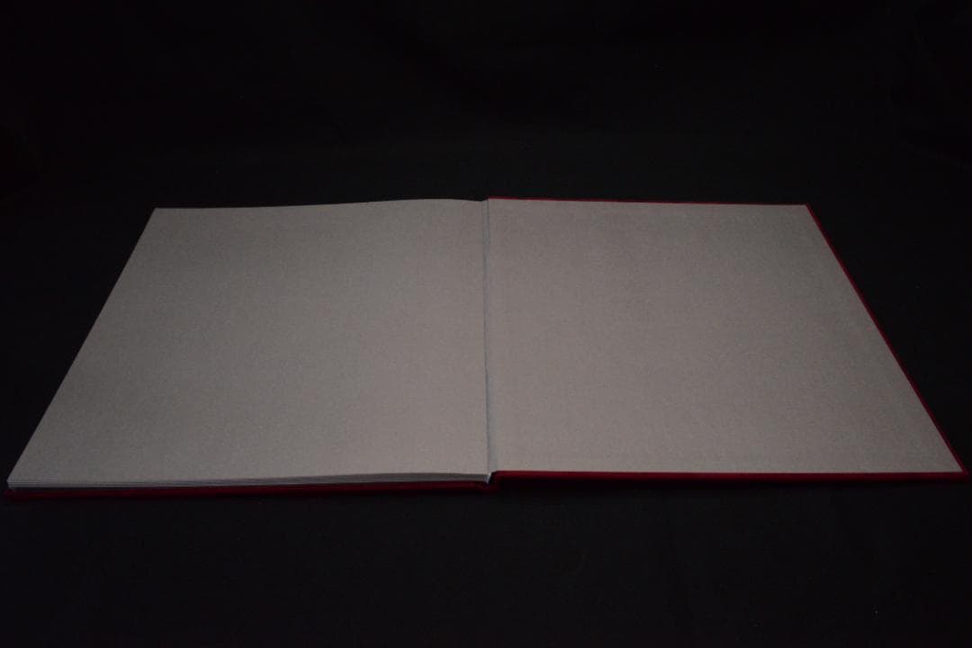 【Lee Friedlander: Staglieno】新品未読品　サイン入