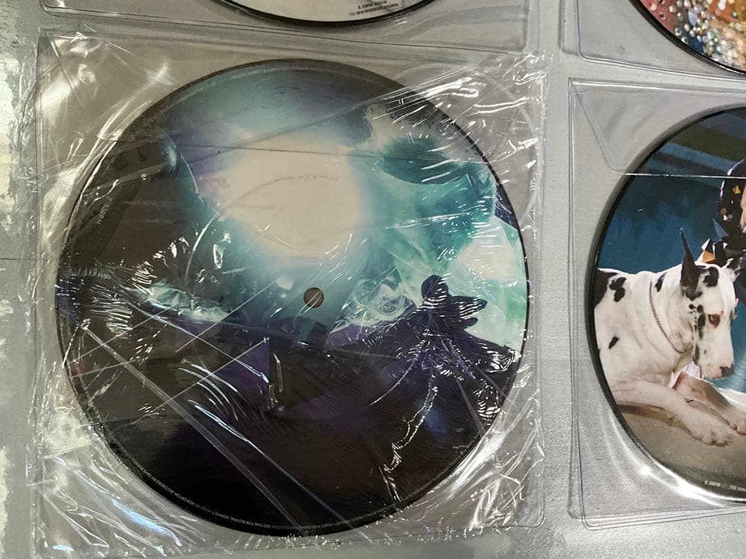 希少⭐️LADY GAGA⭐️レディーガガ⭐️ピクチャーレコード⭐️6枚セット