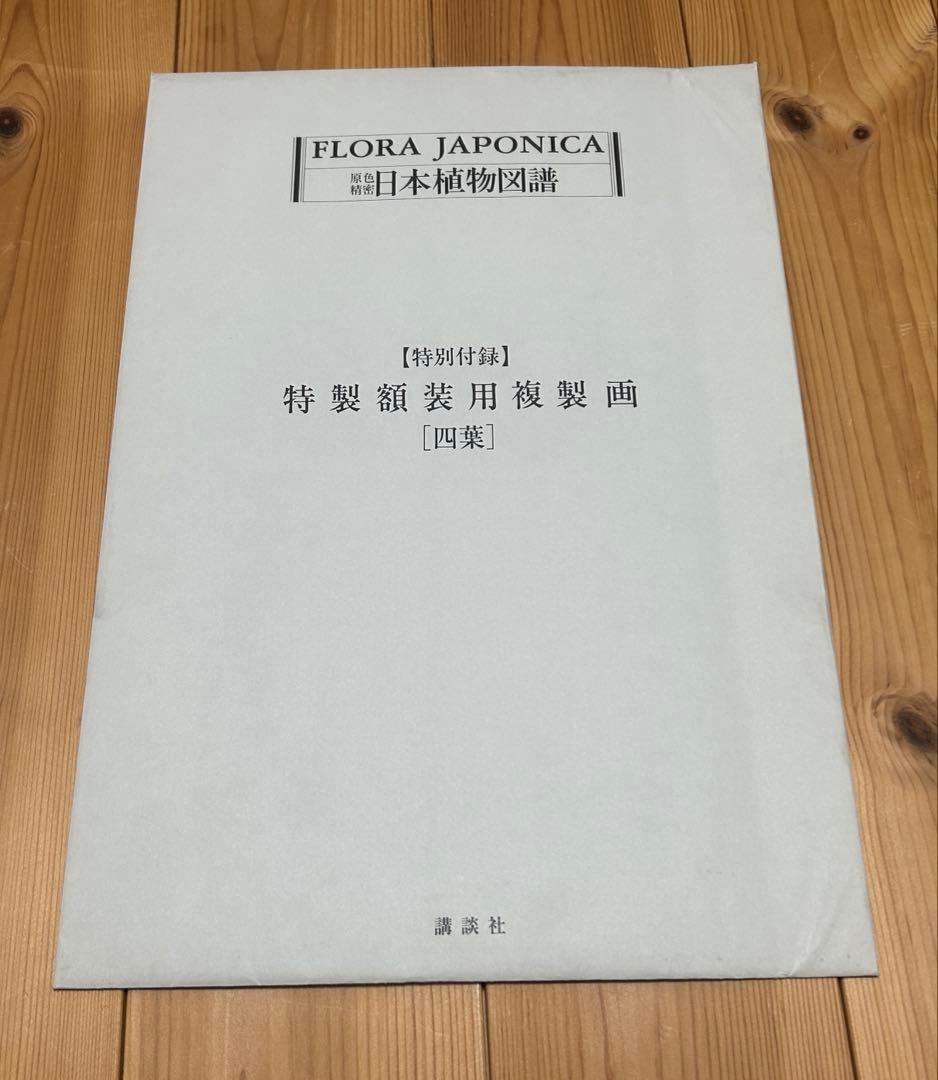 【完品希少】原色精密 日本植物図譜 シーボルト 講談社 複製画4枚付 1984年