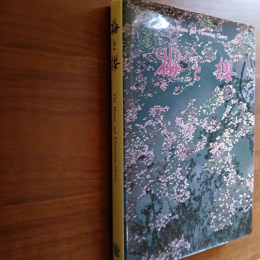 梅と桜