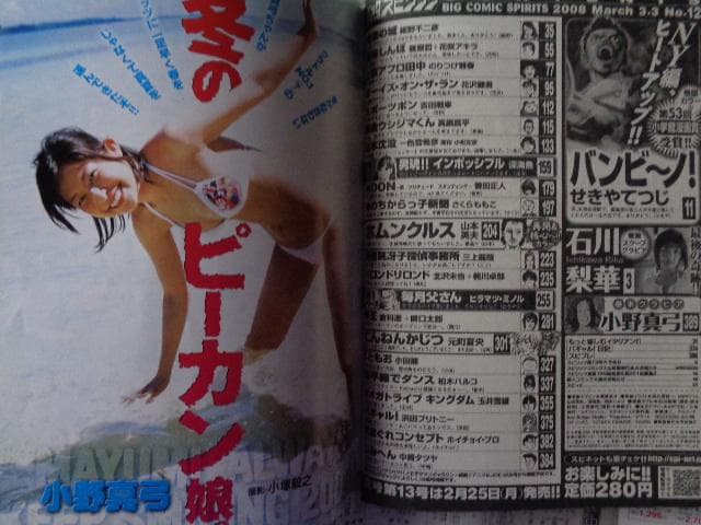 ビッグコミックスピリッツ　石川梨華さん,さくらももこさん、浜田ブリトニーさん