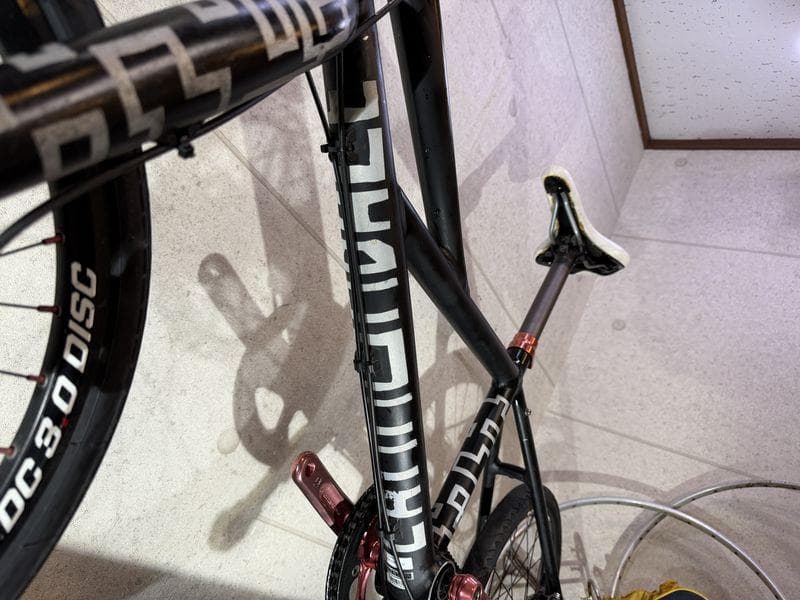 cannondale Hooligan フーリガン　20インチ　ディスク