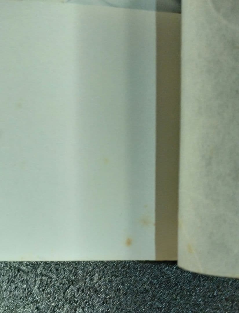 花真衣　刺青 写真集