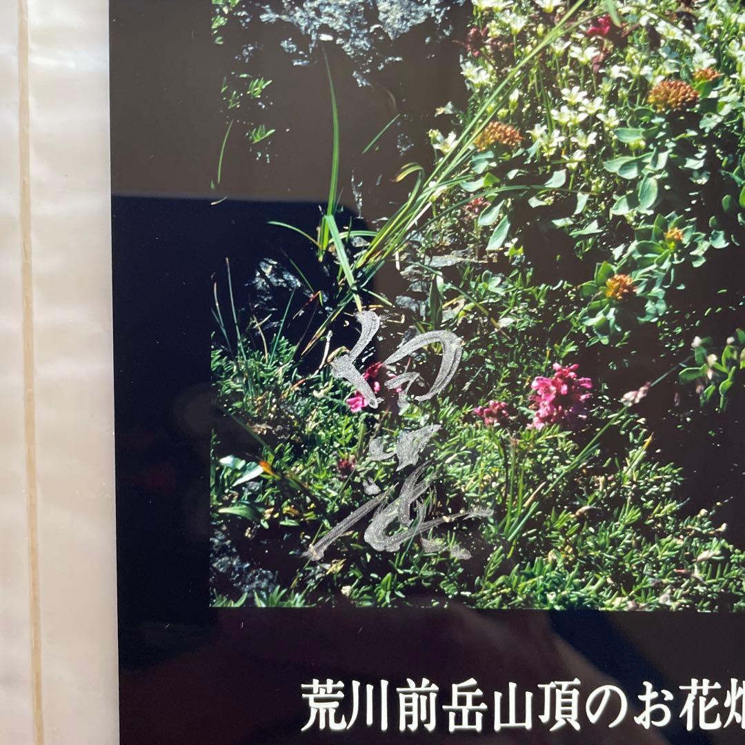 限定版　著者サイン入りカラーオリジナルプリント付　白籏史朗の南アルプス
