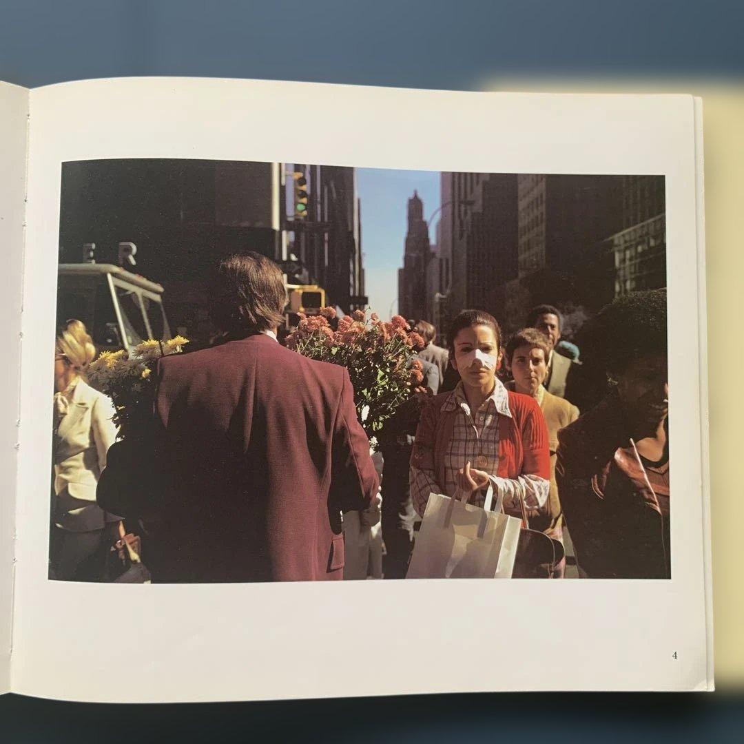 アート・デザイン・音楽 Joel Meyerowitz Wild Flowers