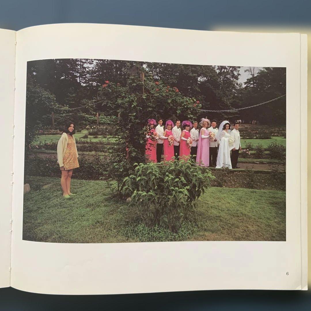 アート・デザイン・音楽 Joel Meyerowitz Wild Flowers