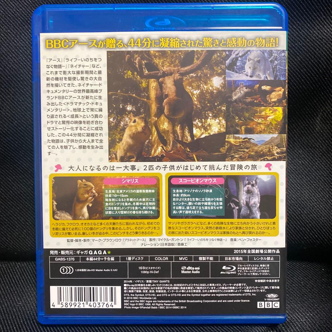 小さな世界はワンダーランド('14英)