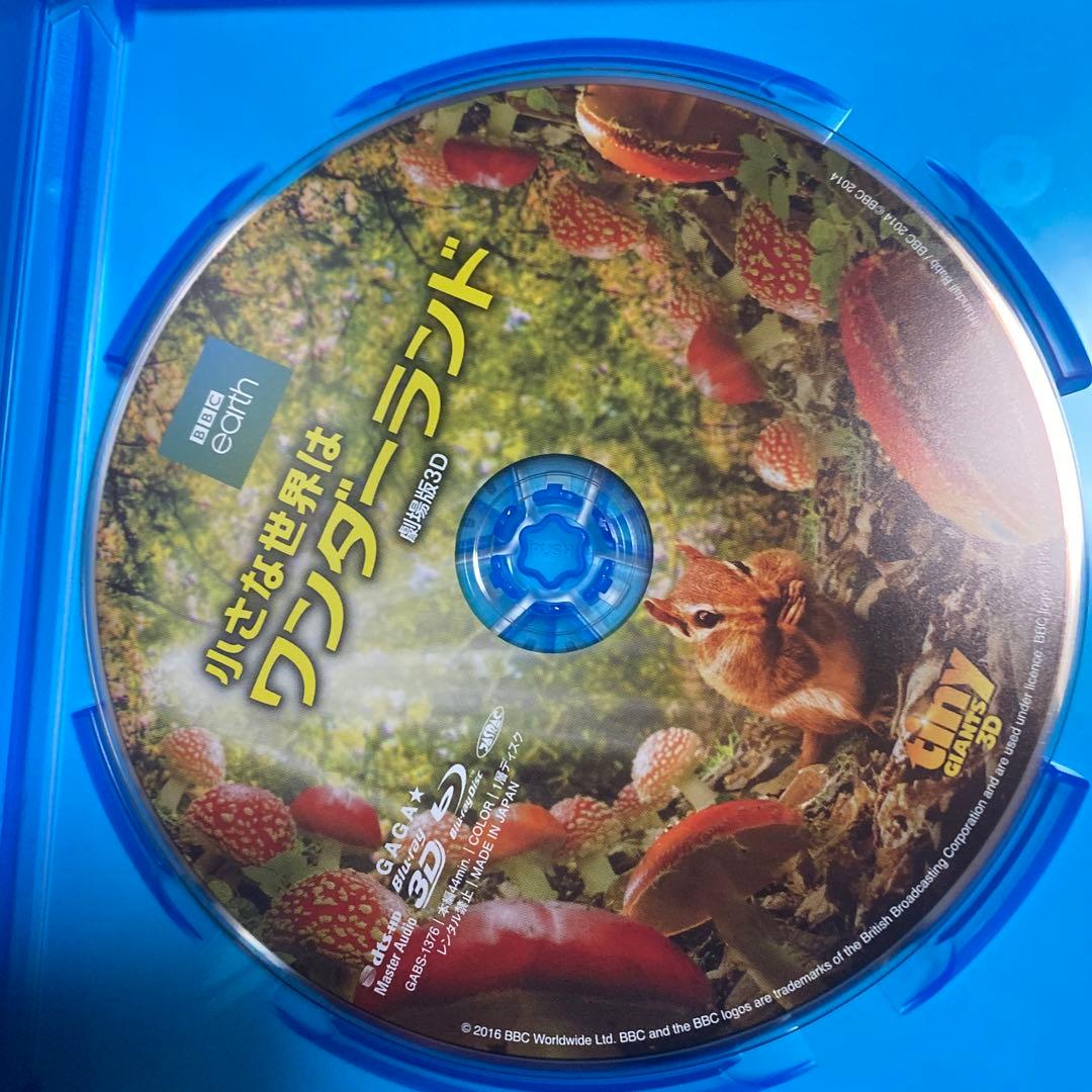 小さな世界はワンダーランド('14英)