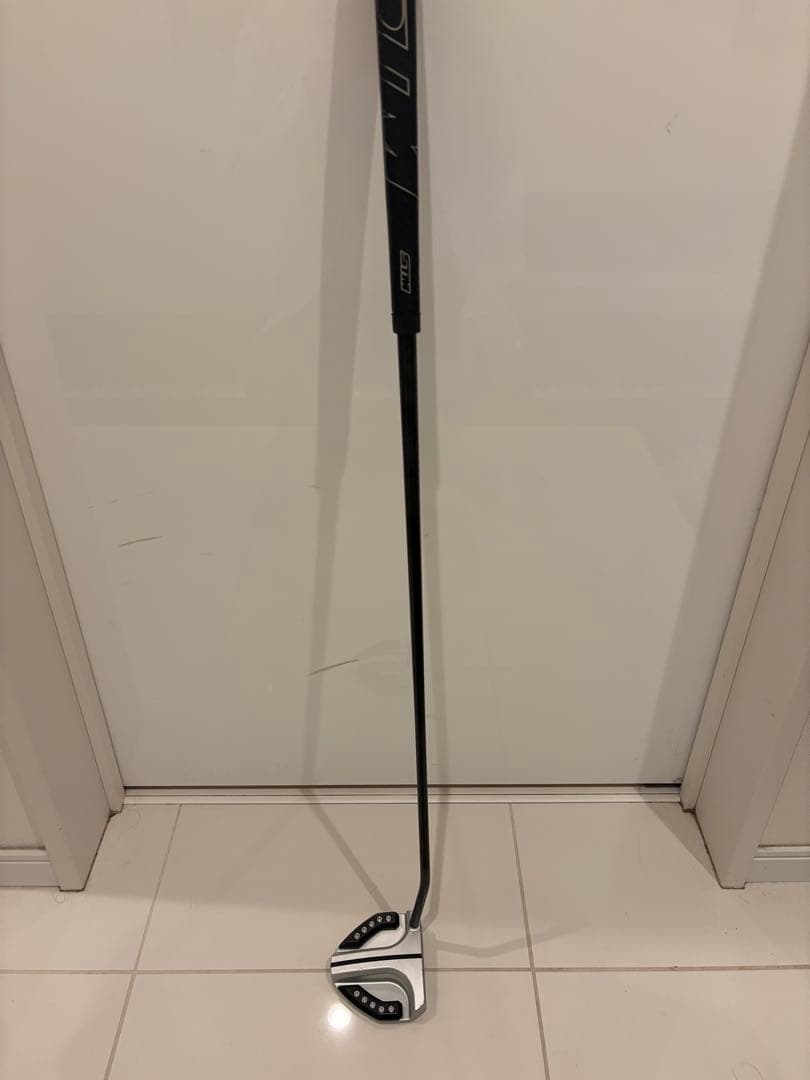 raira　PXG GUNBOAT パター