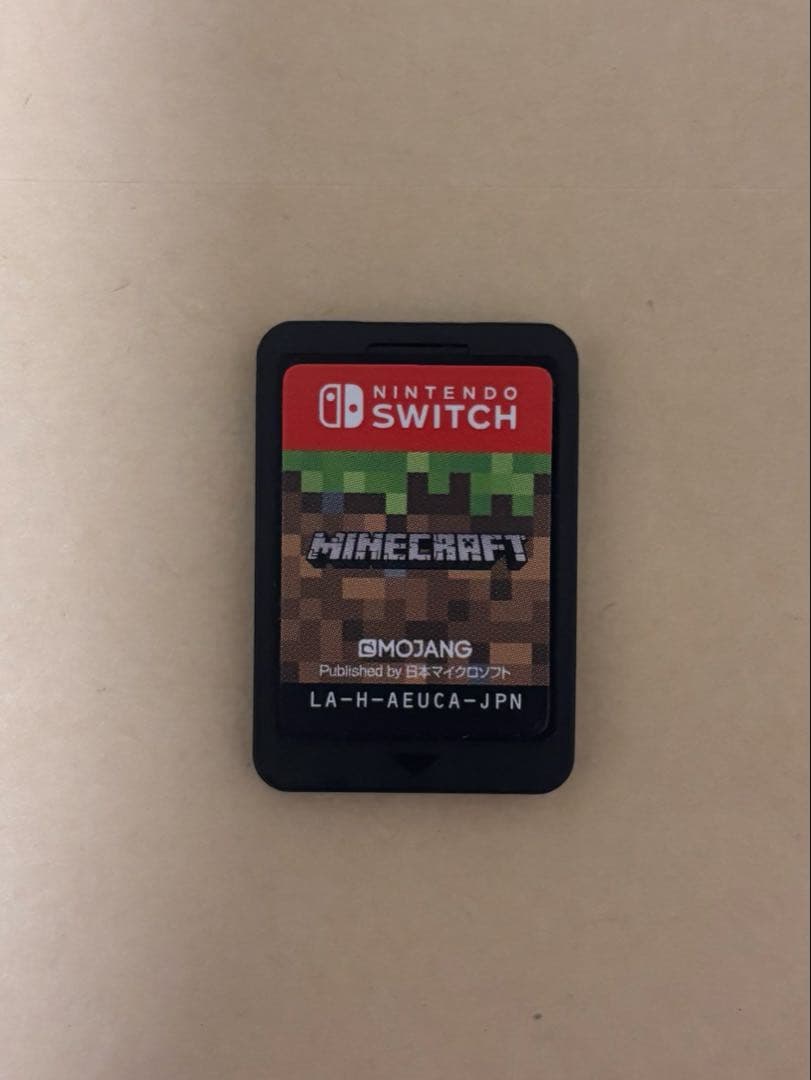 Nintendo Switch Lite グレー 充電器・カセット