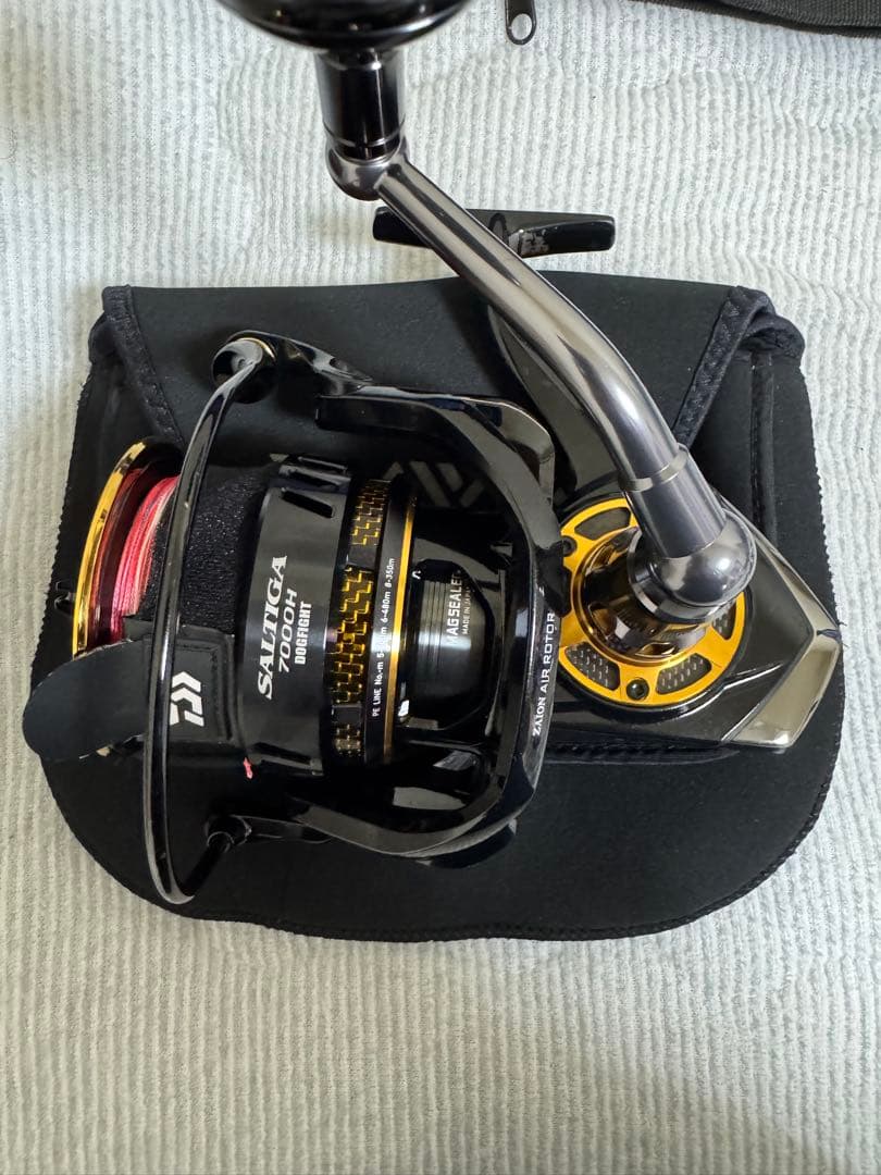DAIWA Saltiga タックルセット