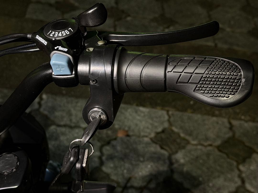 DEEPPOWER 電動アシスト自転車 スポーツタイプ セール中