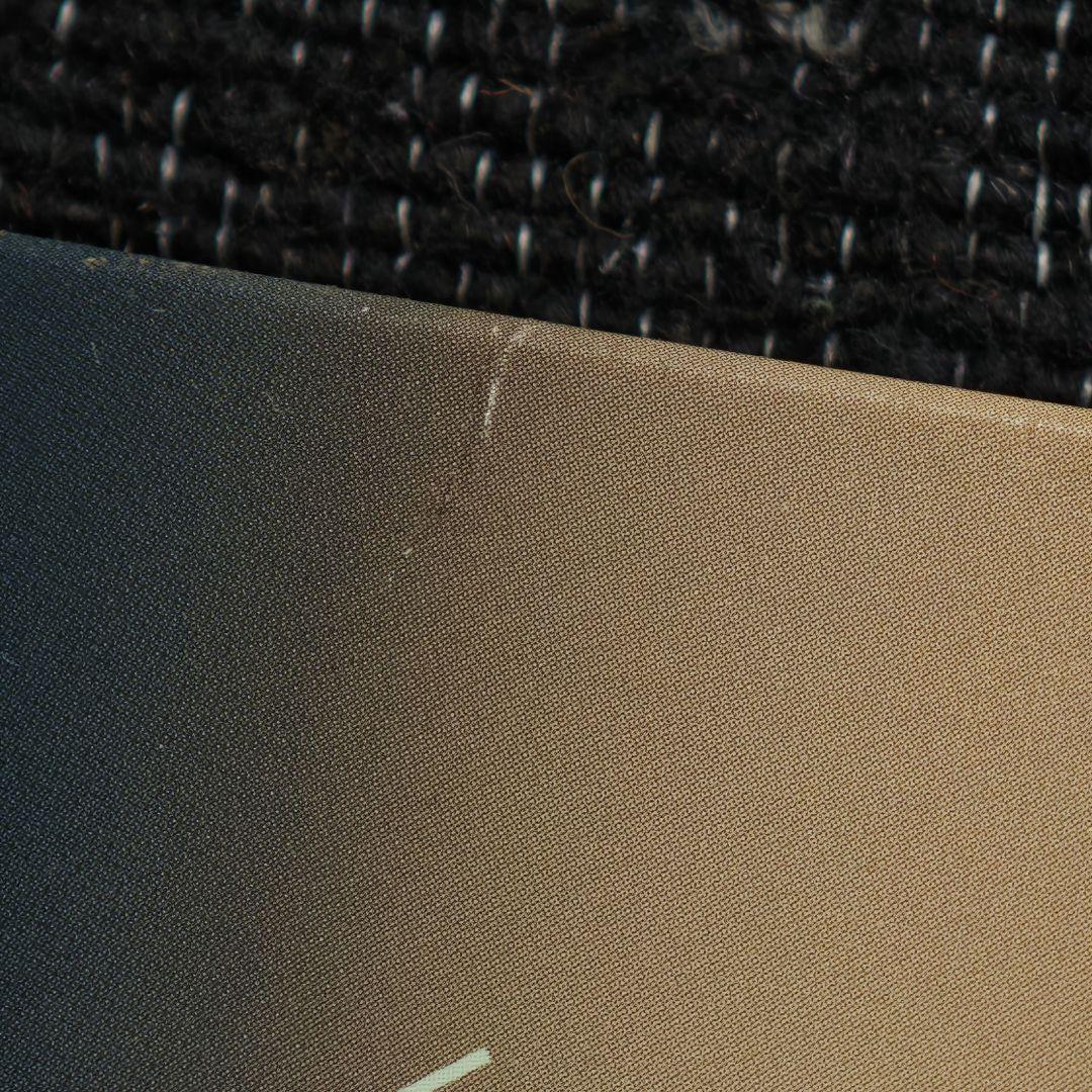 佐藤千亜妃 SickSickSickSick LP