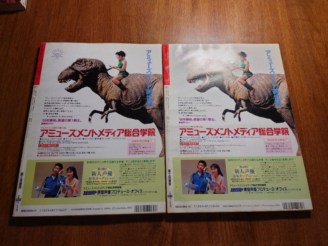 富士見書房 月刊ドラゴンマガジン ×12冊