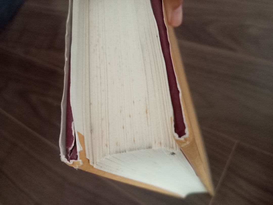 建築 India and the Indianized