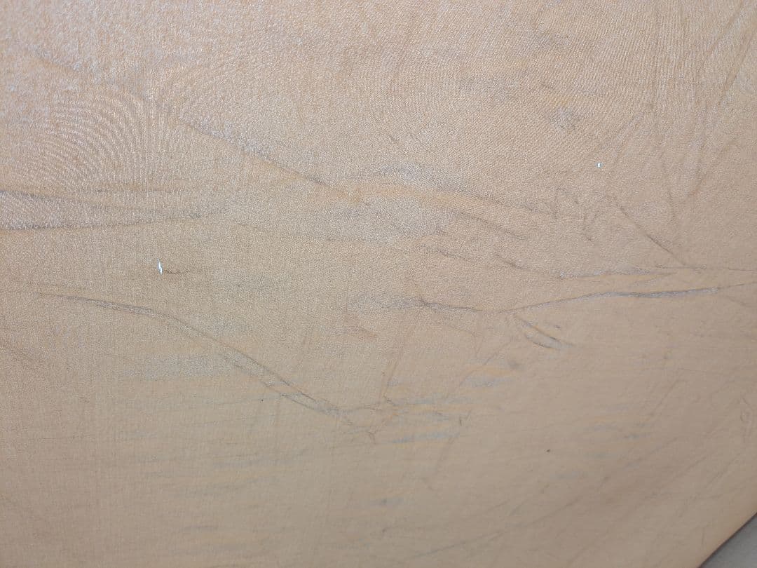 スノーピーク　ランドブリーズリビングシェルシールドTP-622　オプション品あり