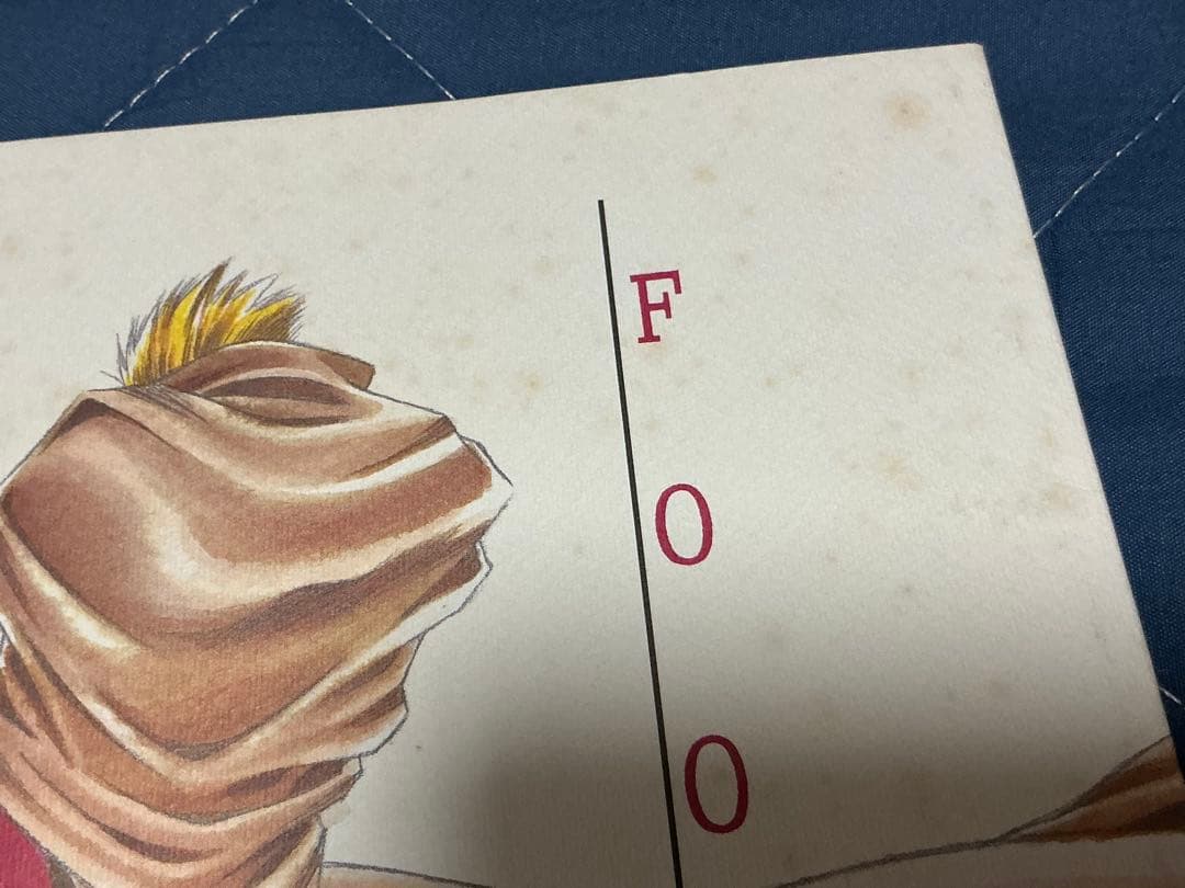 トライガン　同人誌　ウルフウッド　ヴァッシュ　TRIGUN