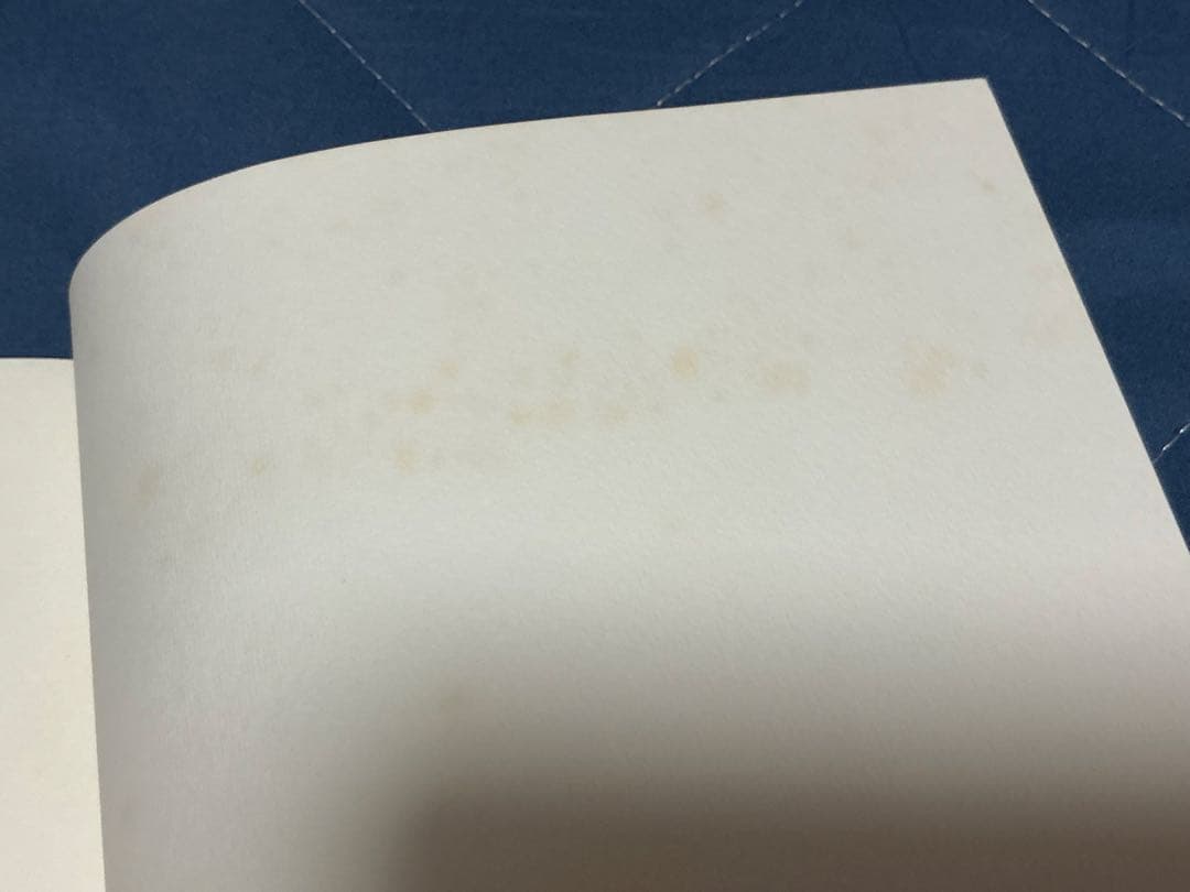 トライガン　同人誌　ウルフウッド　ヴァッシュ　TRIGUN