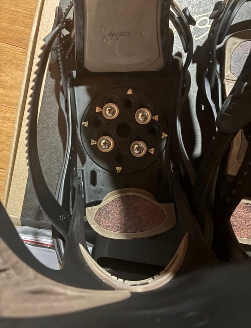 SLY β ビンディング