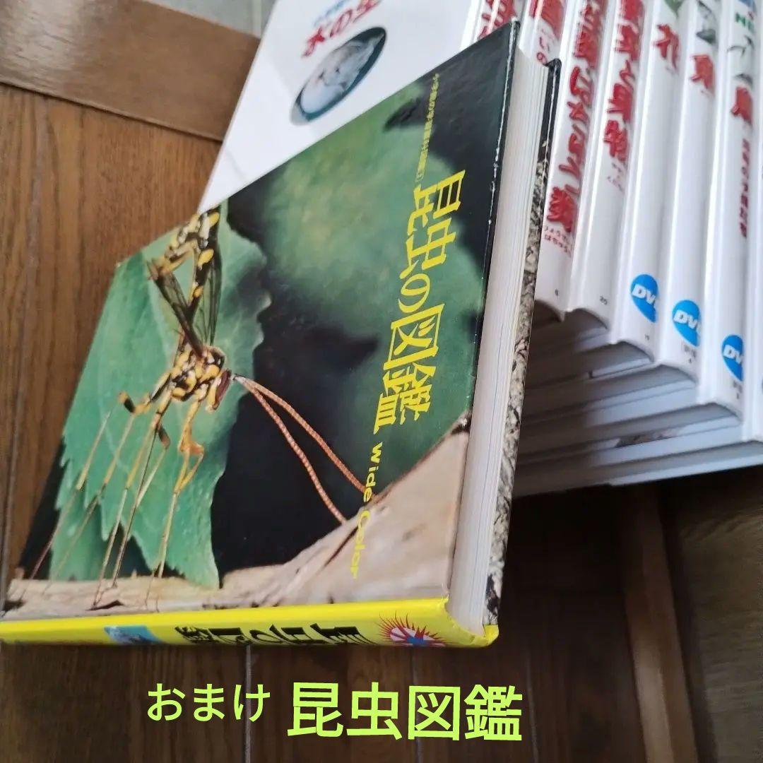 小学館の図鑑NEO 9巻 DVD、CD付き おまけ昆虫図鑑　新品同様