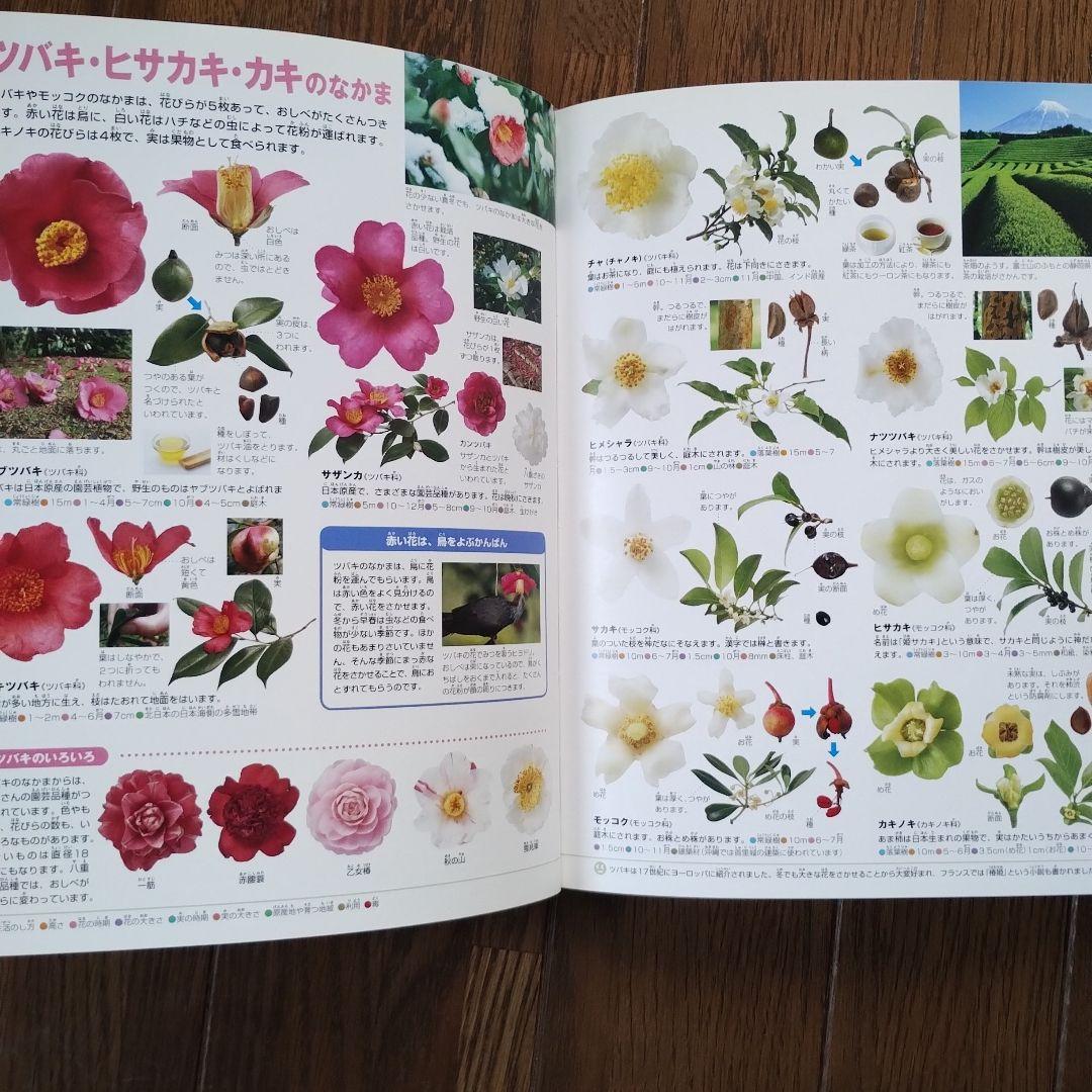 小学館の図鑑NEO 9巻 DVD、CD付き おまけ昆虫図鑑　新品同様