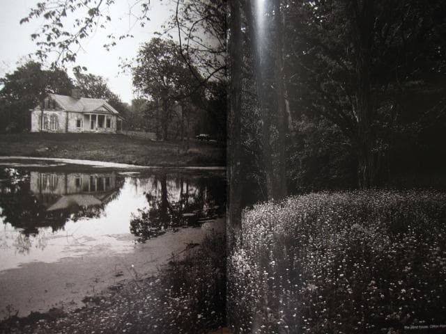 アート・デザイン・音楽 Annie Leibovitz A Photographer's Life