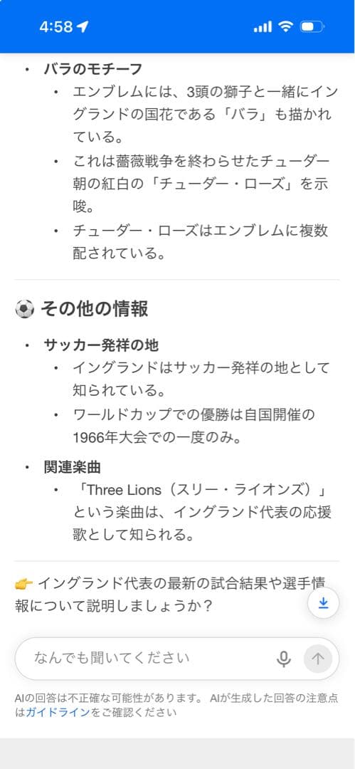 【美品】Umbro イングランド代表 シューティング・ジャージ