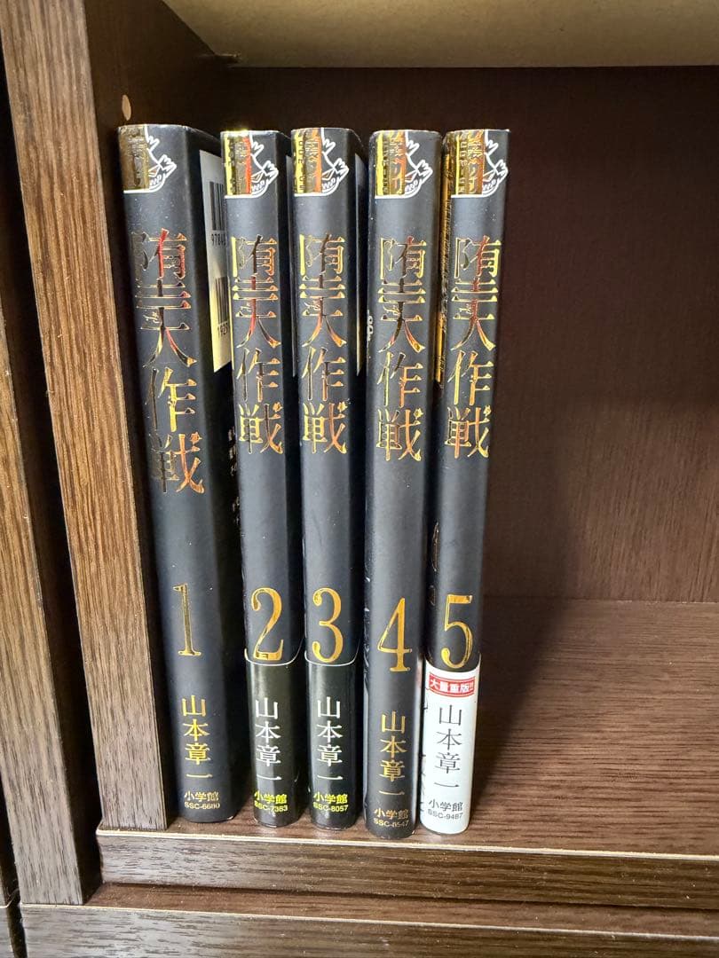堕天作戦 全5巻セット　山本章一