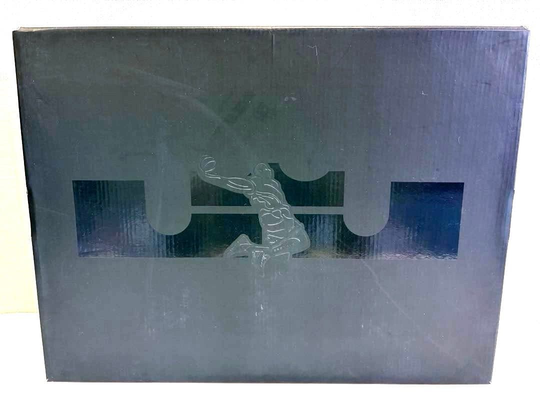 シューズ(男性用) NIKE LEBRON XVI \"MARTIN\" 28cm